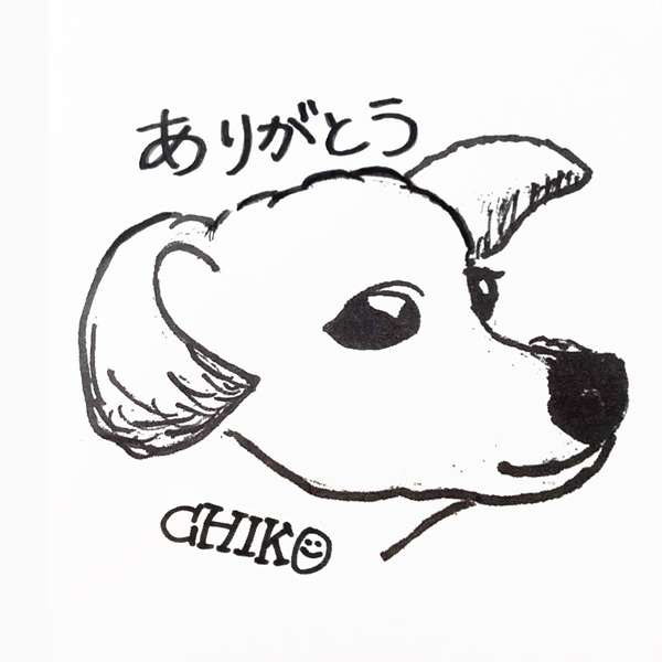 【一般事例297】ありがとう（イラスト）CHIKO 入稿データ