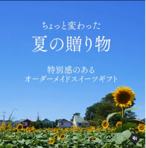 夏の贈り物、何を送るかお決まりですか？