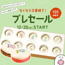 【プレセール】タワシ先生コラボ ありがとうマカロン 10個入り