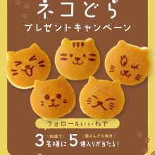 【SNS投稿】8月のプレゼントキャンペーン（2025/8/22）