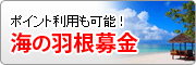 海の羽根募金