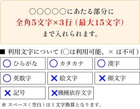 オリジナルメッセージ入りクッキー 20枚入り 短納期