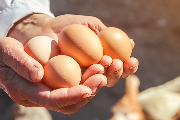 純国産鶏の卵「酵純卵」を使用