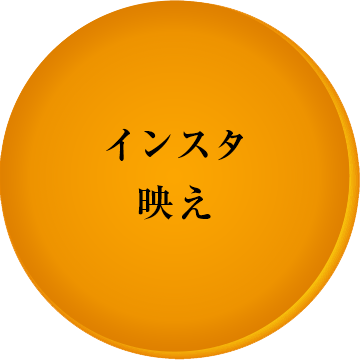 流行語 文字入りどら焼き 「インスタ映え」 もじどら (5個入り) 短納期