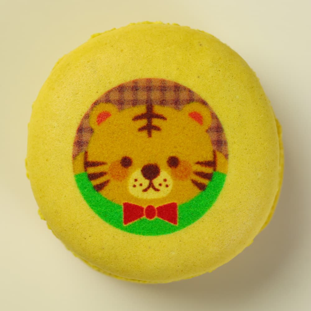 デザイン05