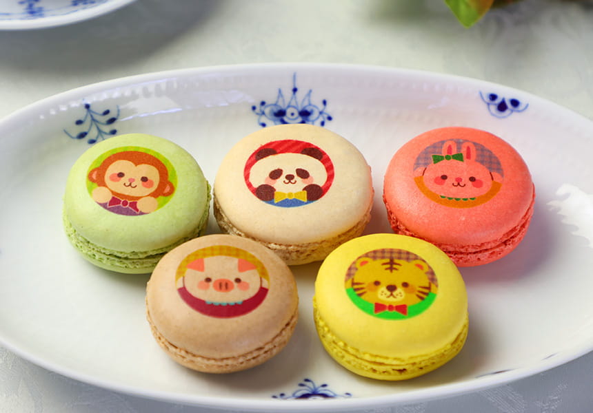 動物っこファミリー マカロン 3個入り 化粧箱 短納期