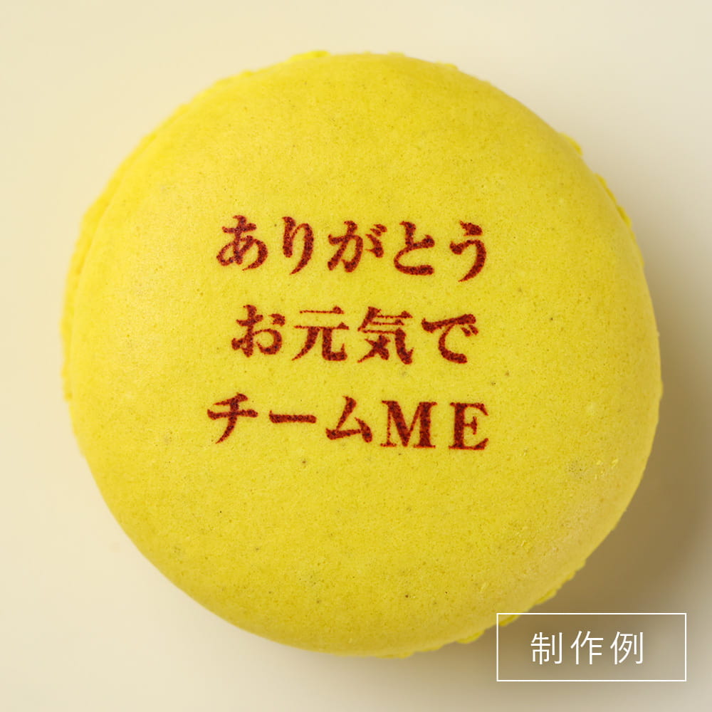 制作事例5