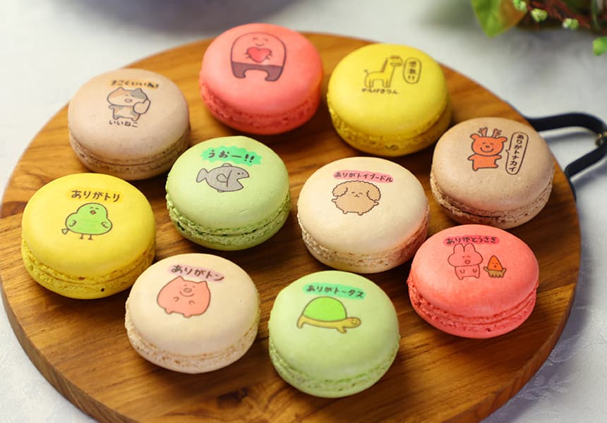 ありがとうございまスイーツ 彩りマカロン 10個入り 化粧箱 短納期